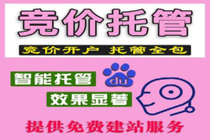 某电商平台的SEM广告投放策略及效果评估